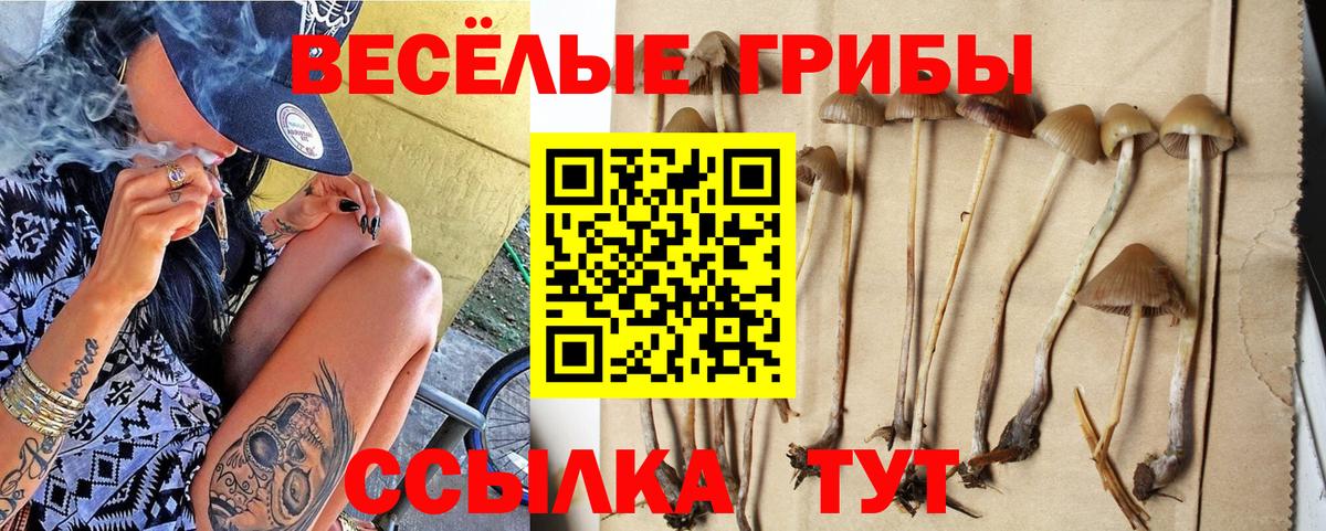 сколько стоит  Псилоцибиновые грибы Cubensis  Вход с VPN  Сегежа 
